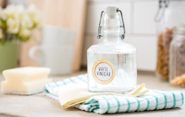 vinegar là gì, điểm danh 5 loại vinegar không thể thiếu trong ẩm thực á âu